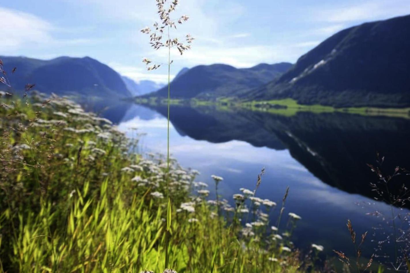 Jolster Lake View Årdal Buitenkant foto